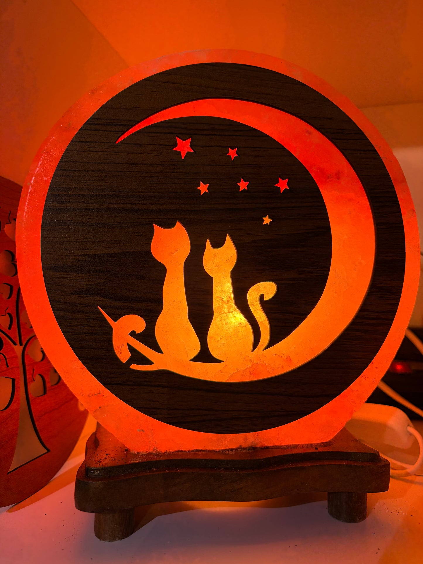 Panneau Aimanté chats