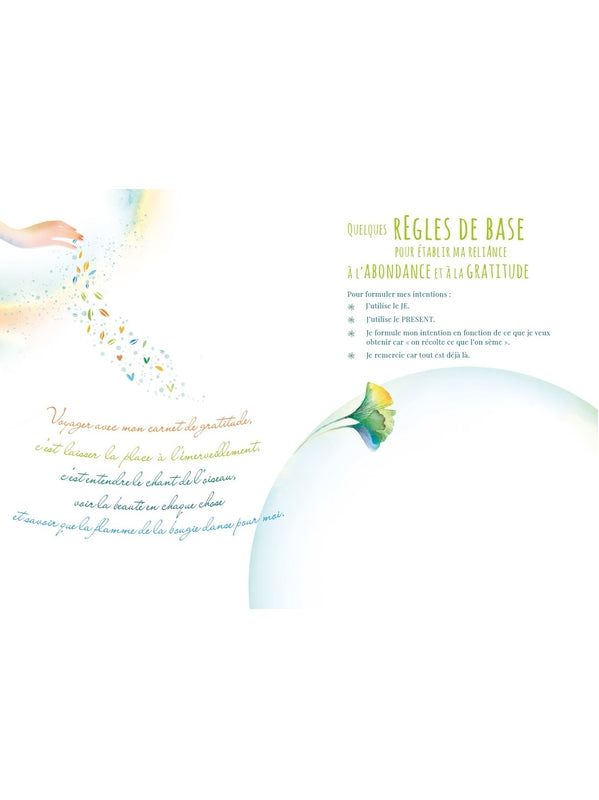 Carnet de Gratitude