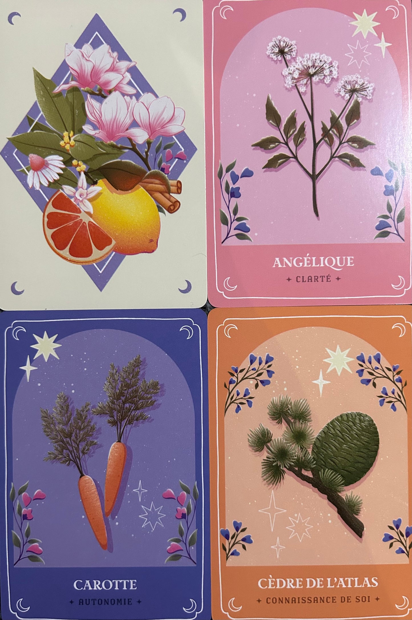 L’oracle des essences subtiles