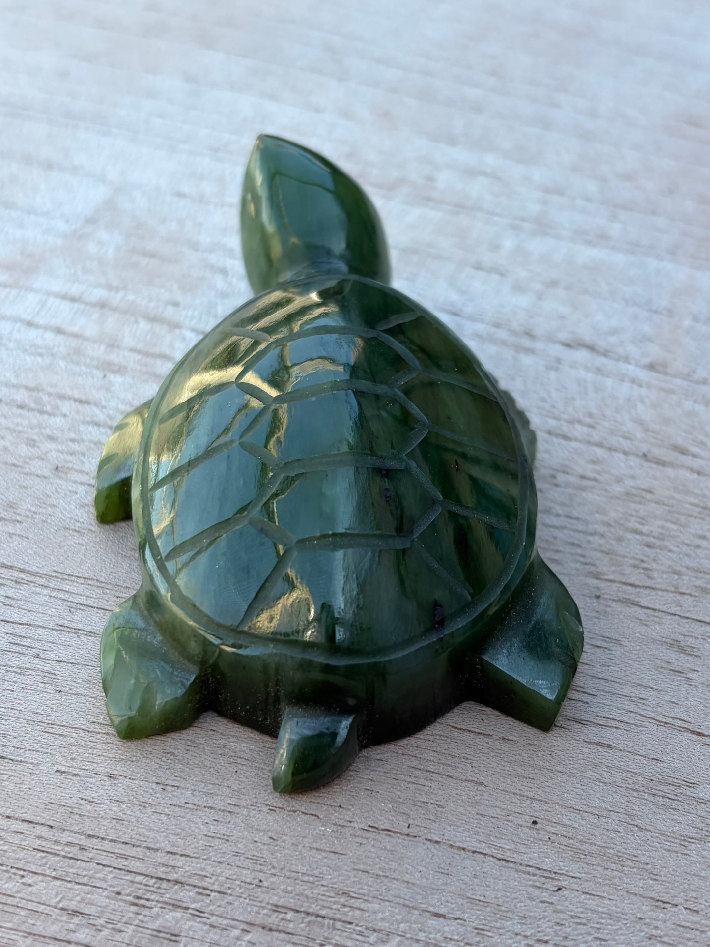 Tortue Aventurine