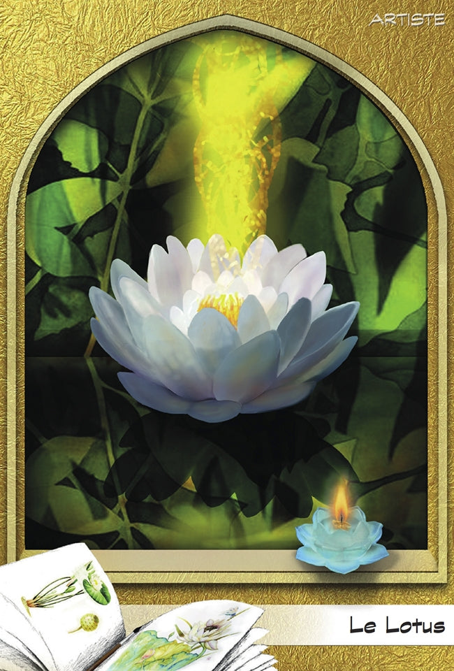 L’oracle du peuple végétal