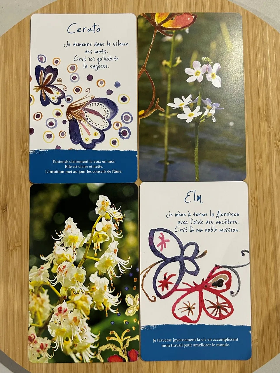 Oracle fleurs de Bach