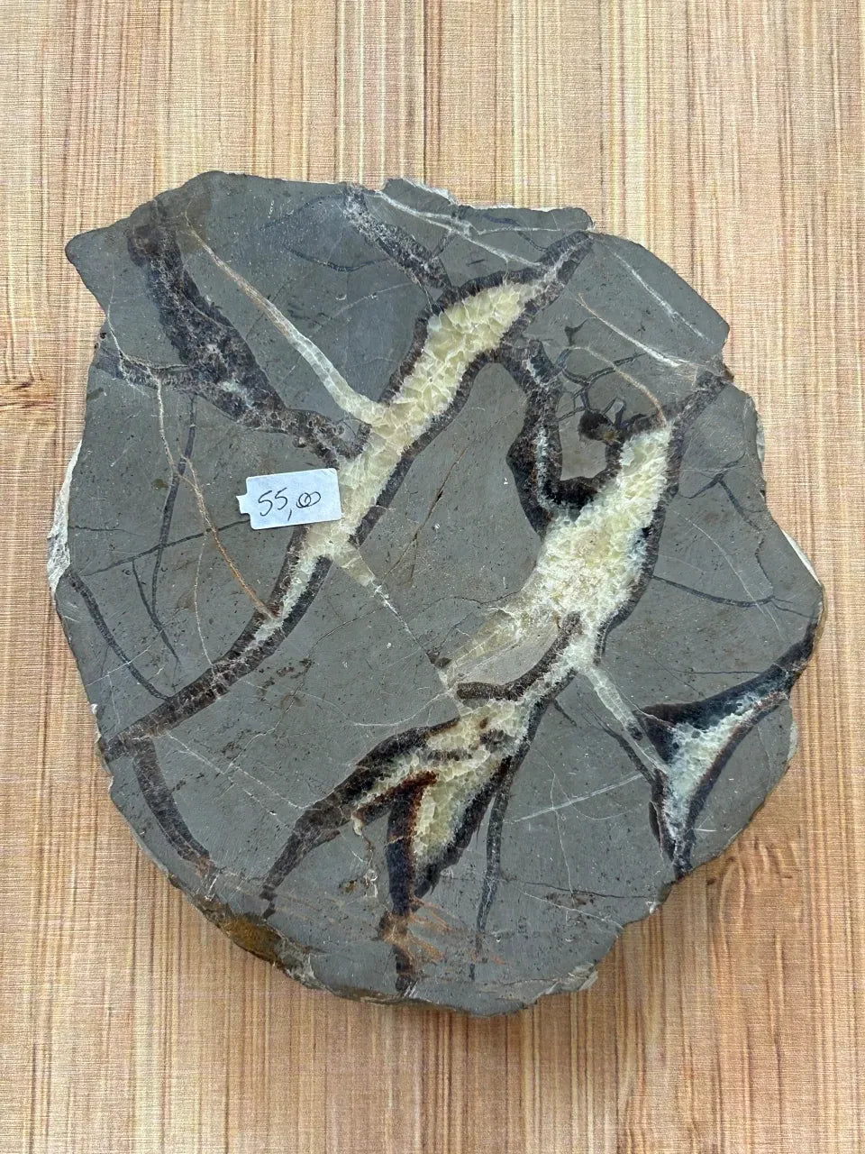 Plaque de Septaria