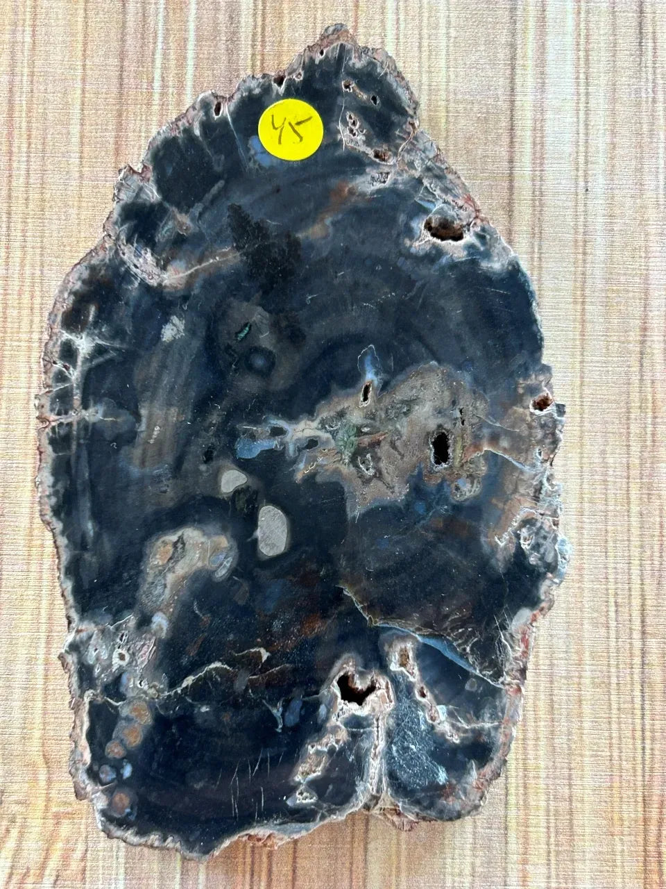 Tranche de bois fossile noire