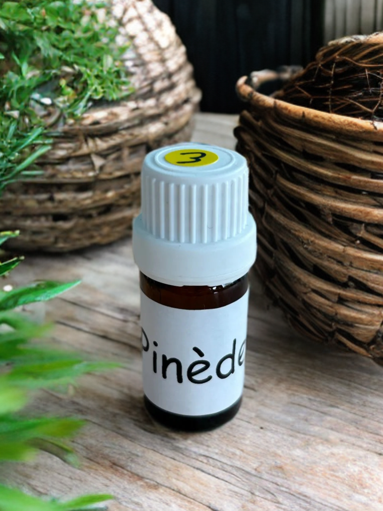 Huiles essentielles à diffuser Pinède