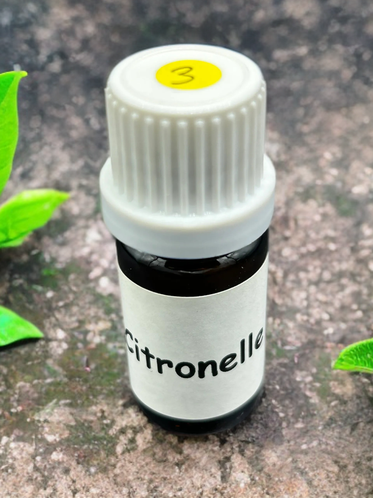 Huiles essentielles Citronelle de Java