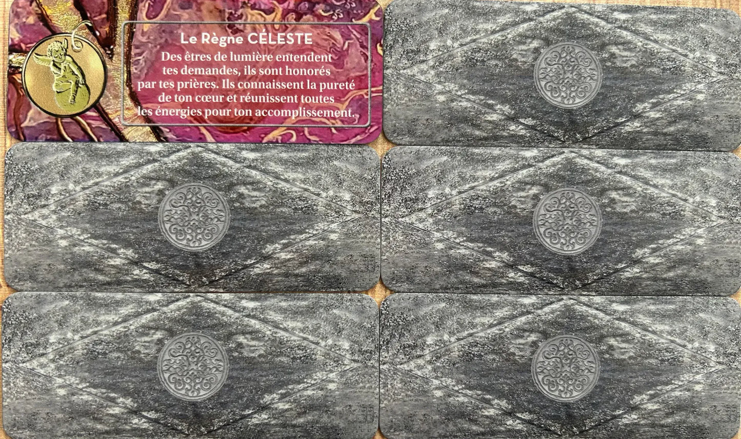 Le petit oracle de la mission d'âme