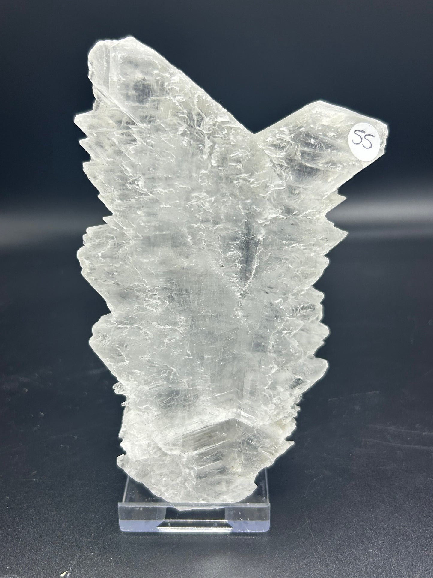 Bloc de Sélénite queue de poisson