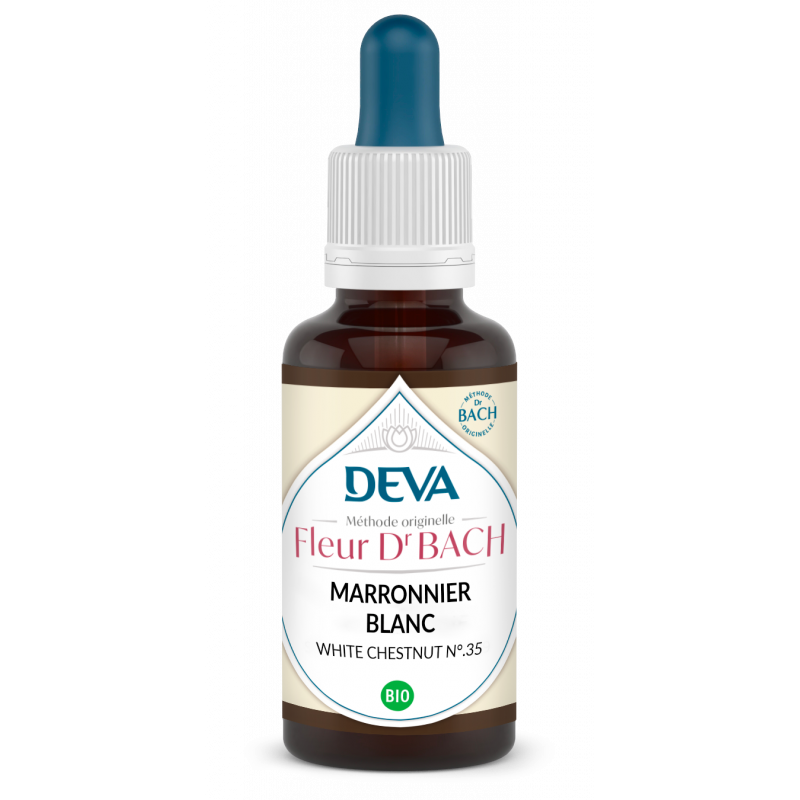 Marronnier Blanc - White chestnut