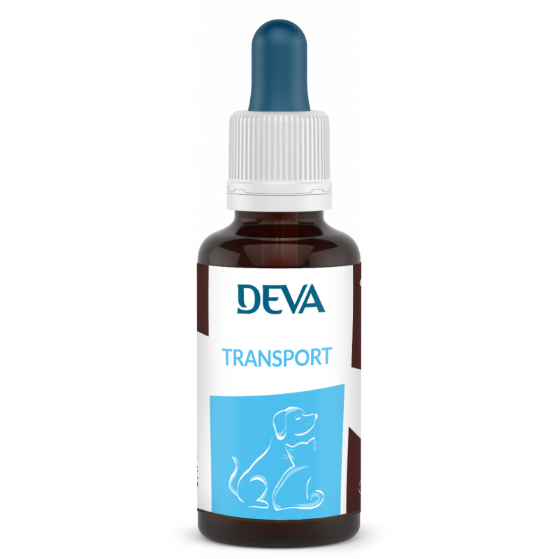 Transport