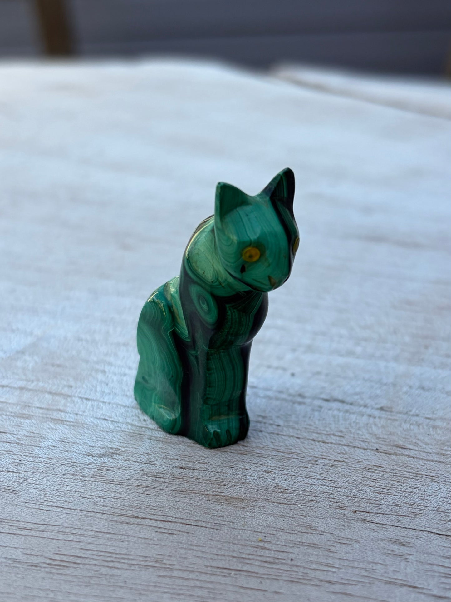 Chat Malachite