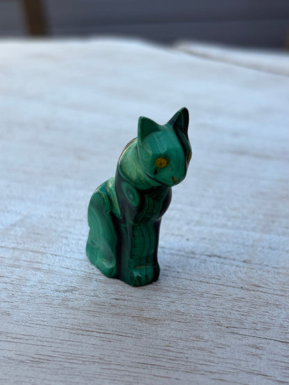 Chat Malachite