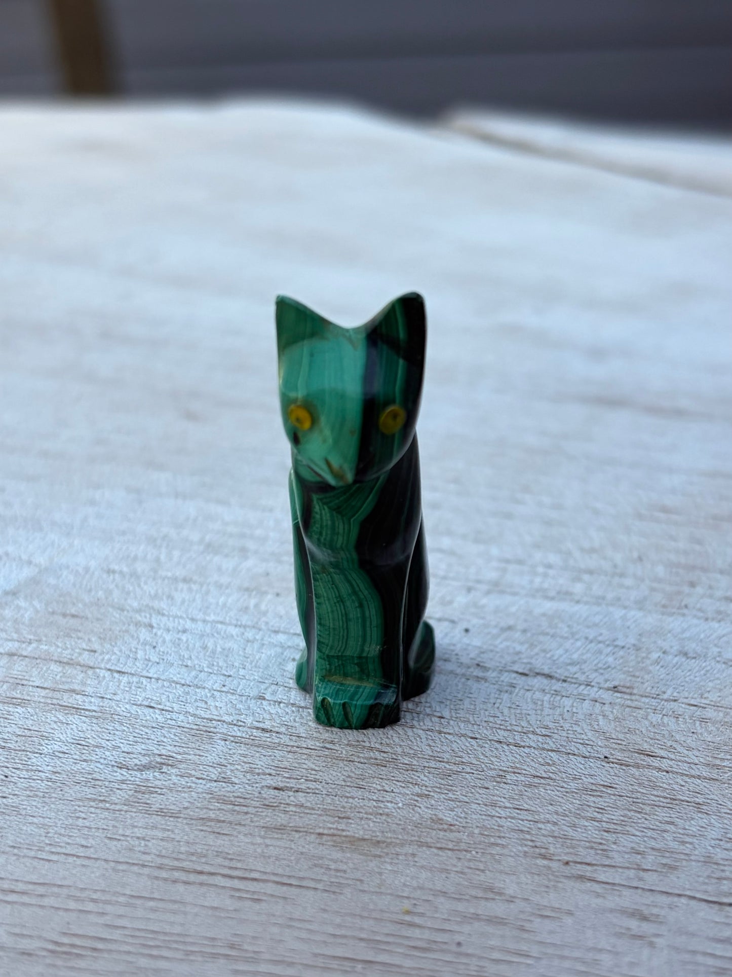 Chat Malachite