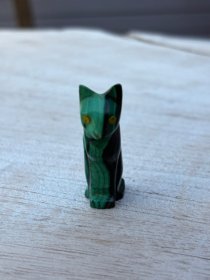 Chat Malachite