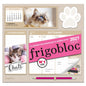 Frigobloc Hebdomadaire Chat 2027 - Calendrier organiseur familial (de sept. 2026 à déc. 2027)