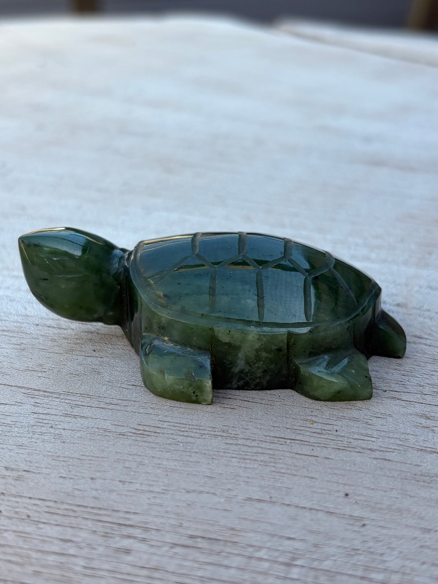Tortue Aventurine