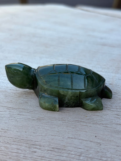 Tortue Aventurine