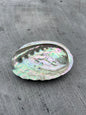 Abalone porte encens
