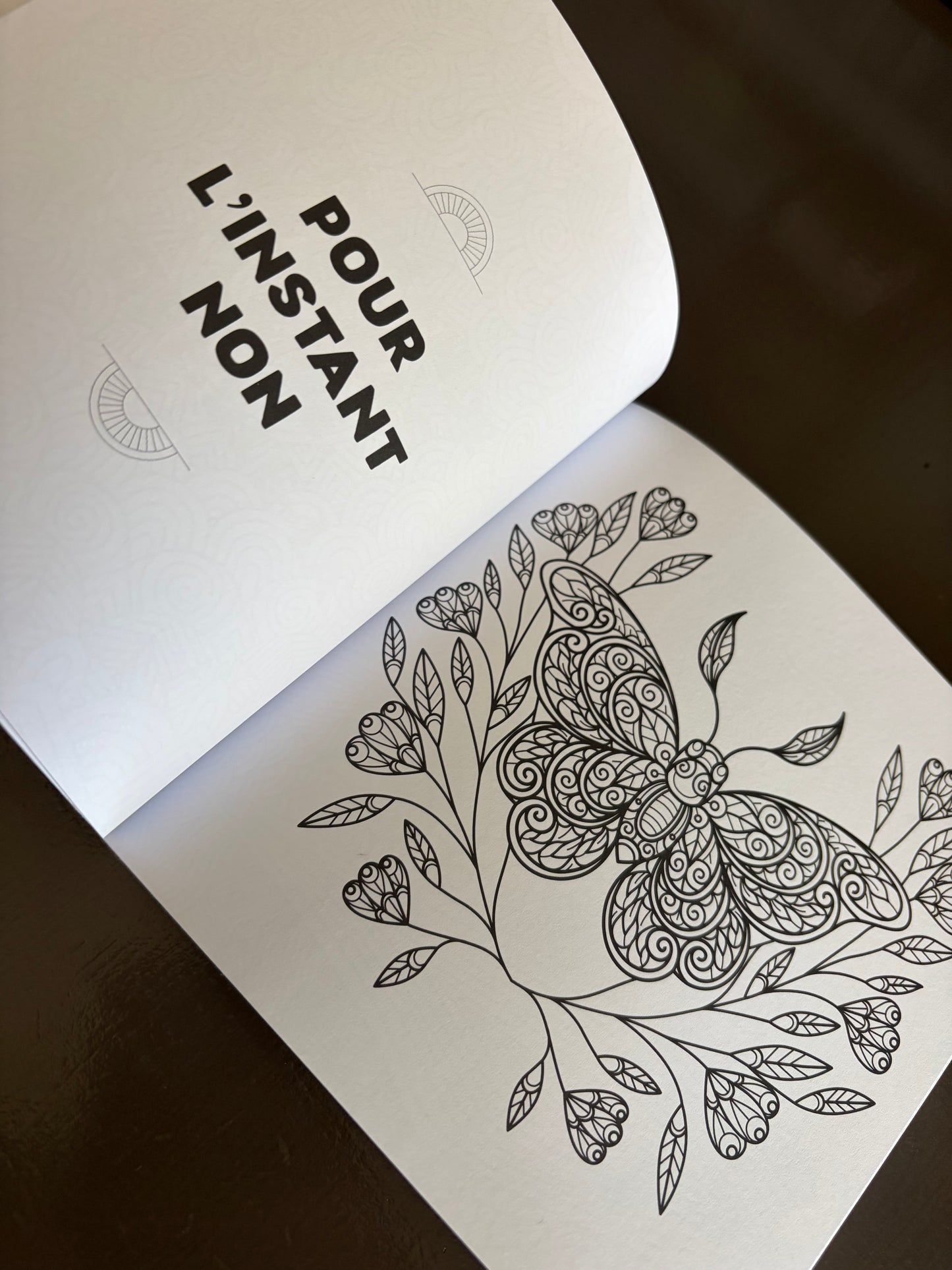 Le livre des réponses, mon oracle à colorier