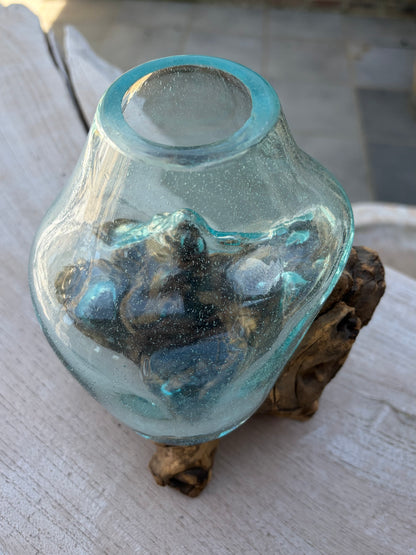 Vase racine