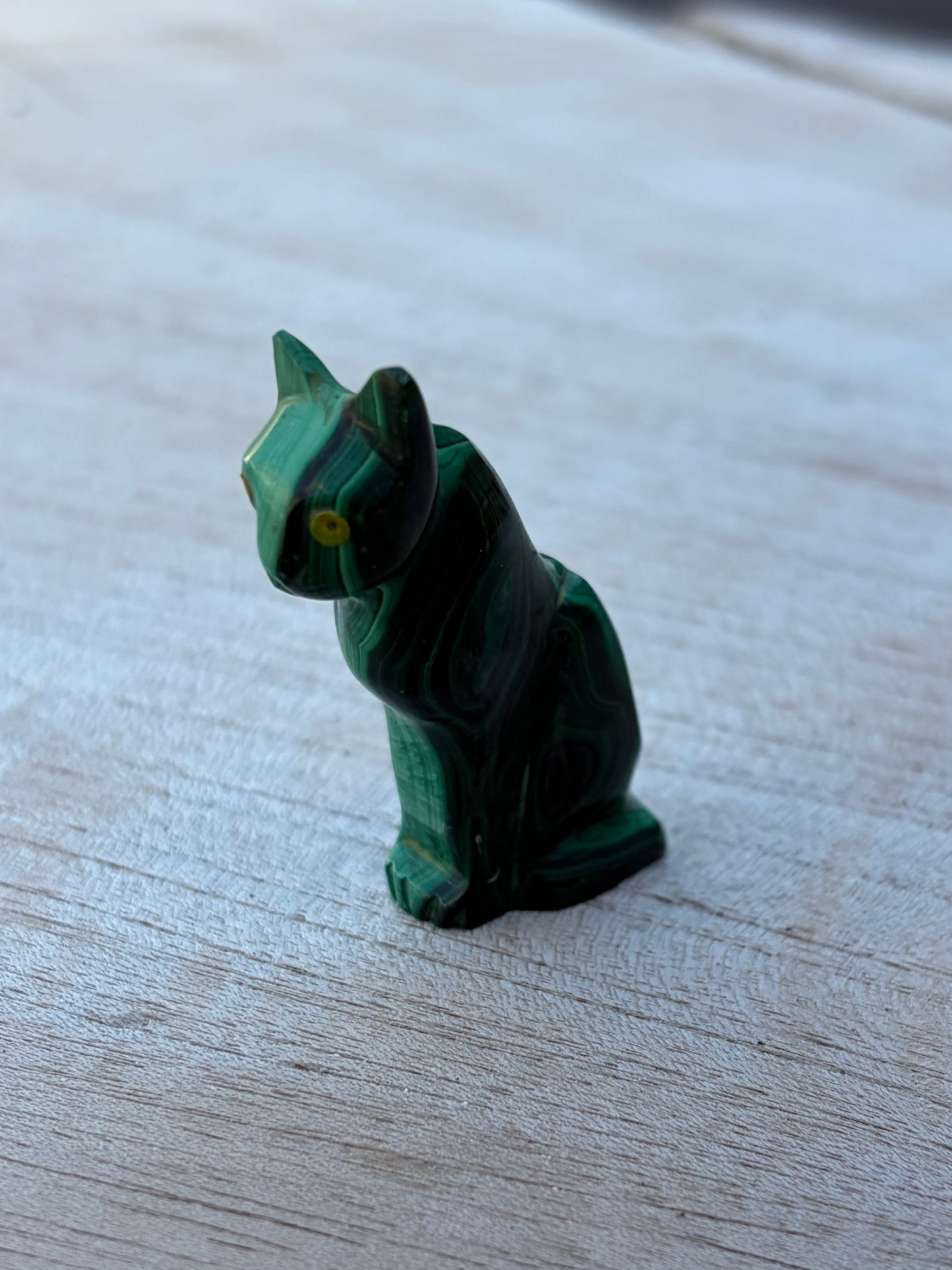 Chat Malachite