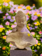 Bouddha Lotus