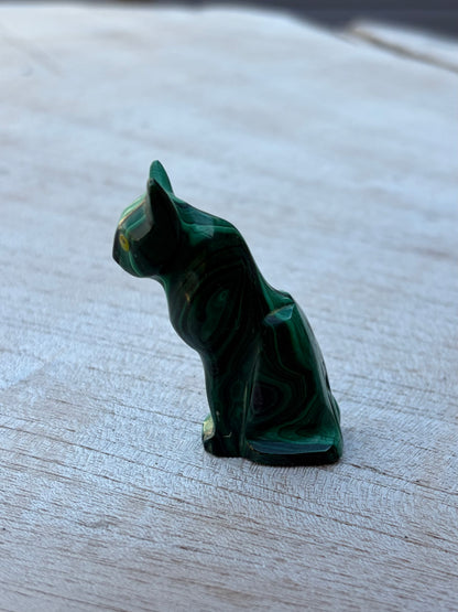 Chat Malachite