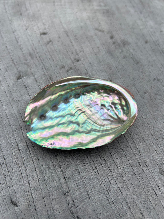 Abalone porte encens