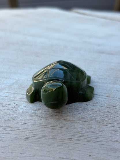 Tortue Aventurine