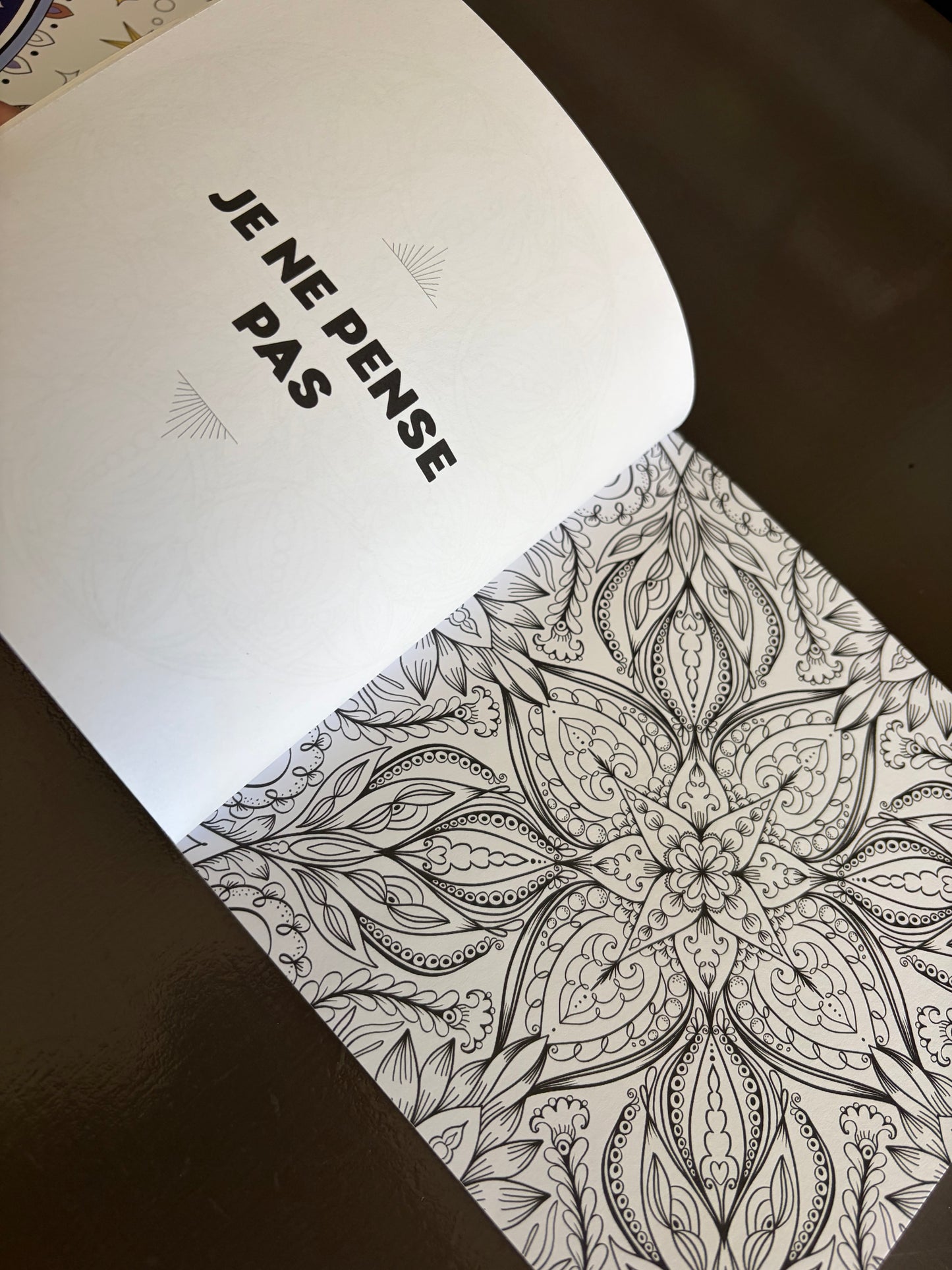 Le livre des réponses, mon oracle à colorier