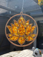 Attrape Soleil Lotus Ambre