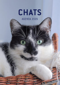 Agenda chats 2026