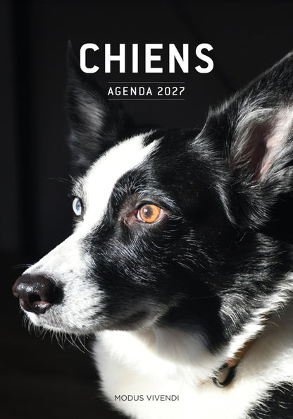 Agenda chiens 2027