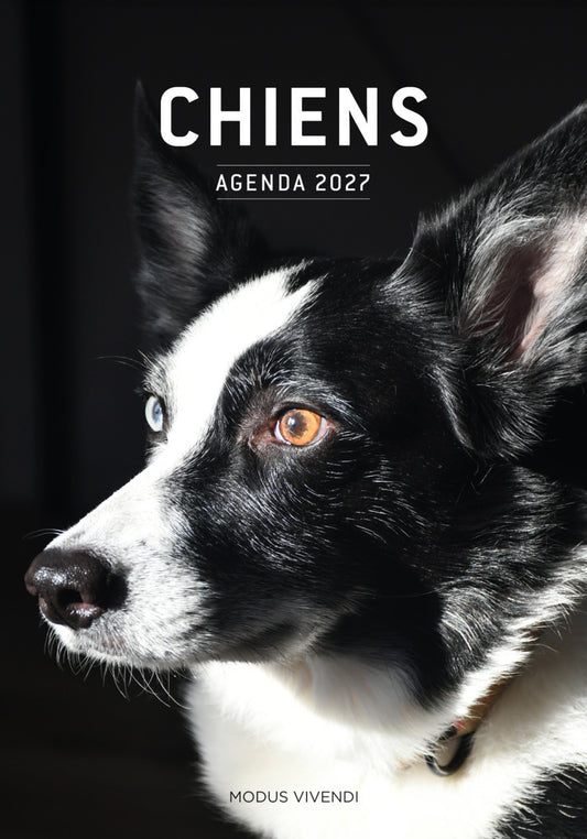 Agenda chiens 2027