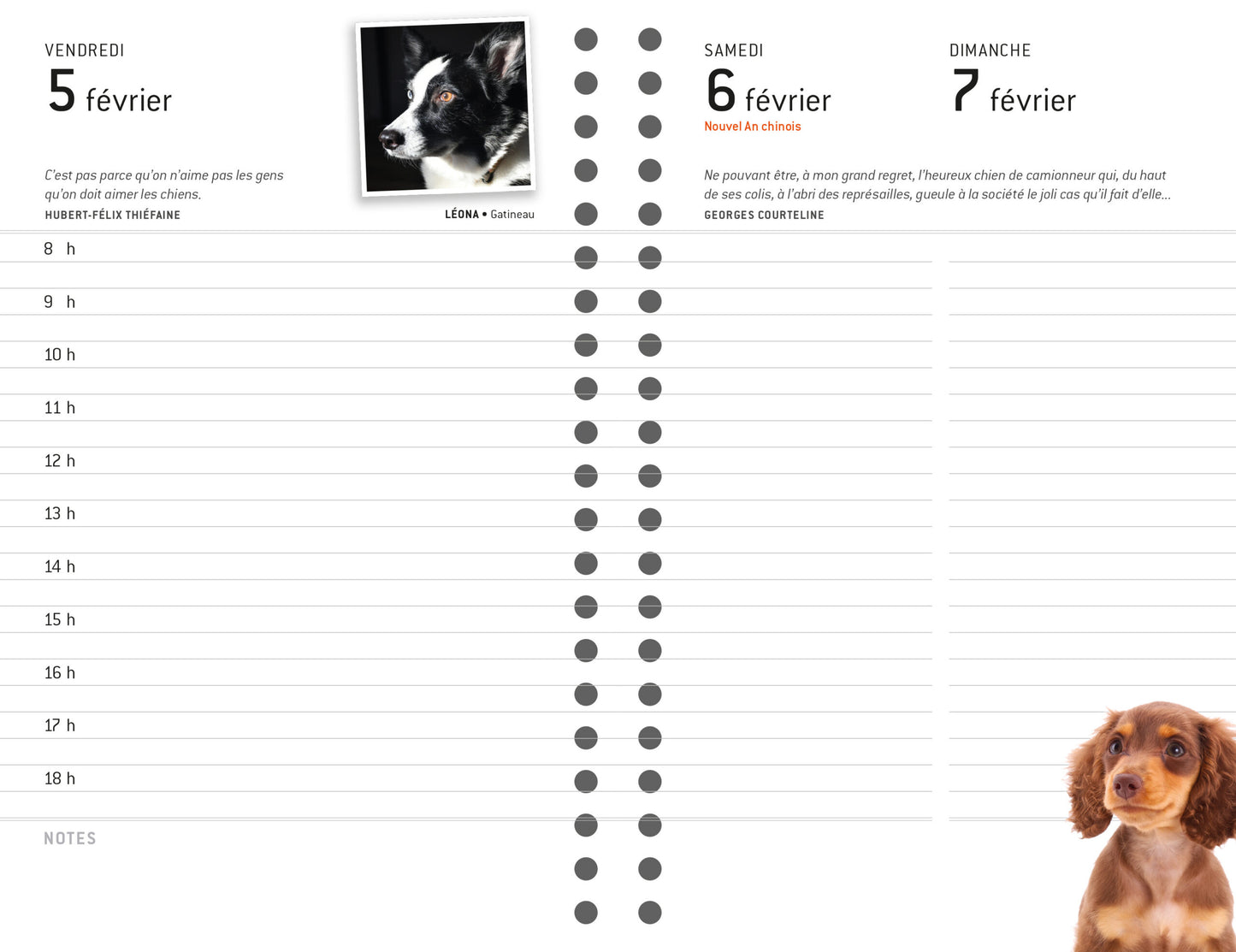 Agenda chiens 2027