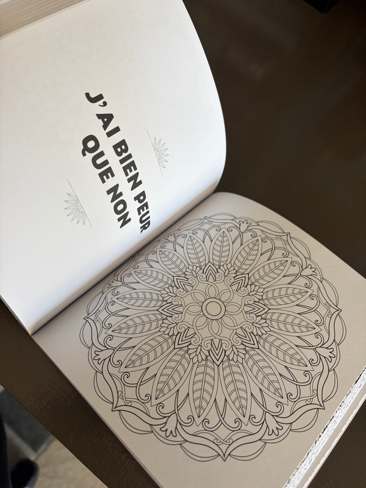 Le livre des réponses, mon oracle à colorier