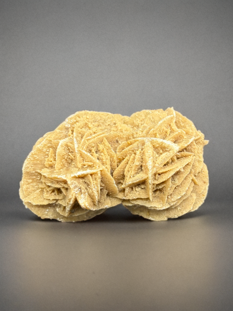 Rose des sables