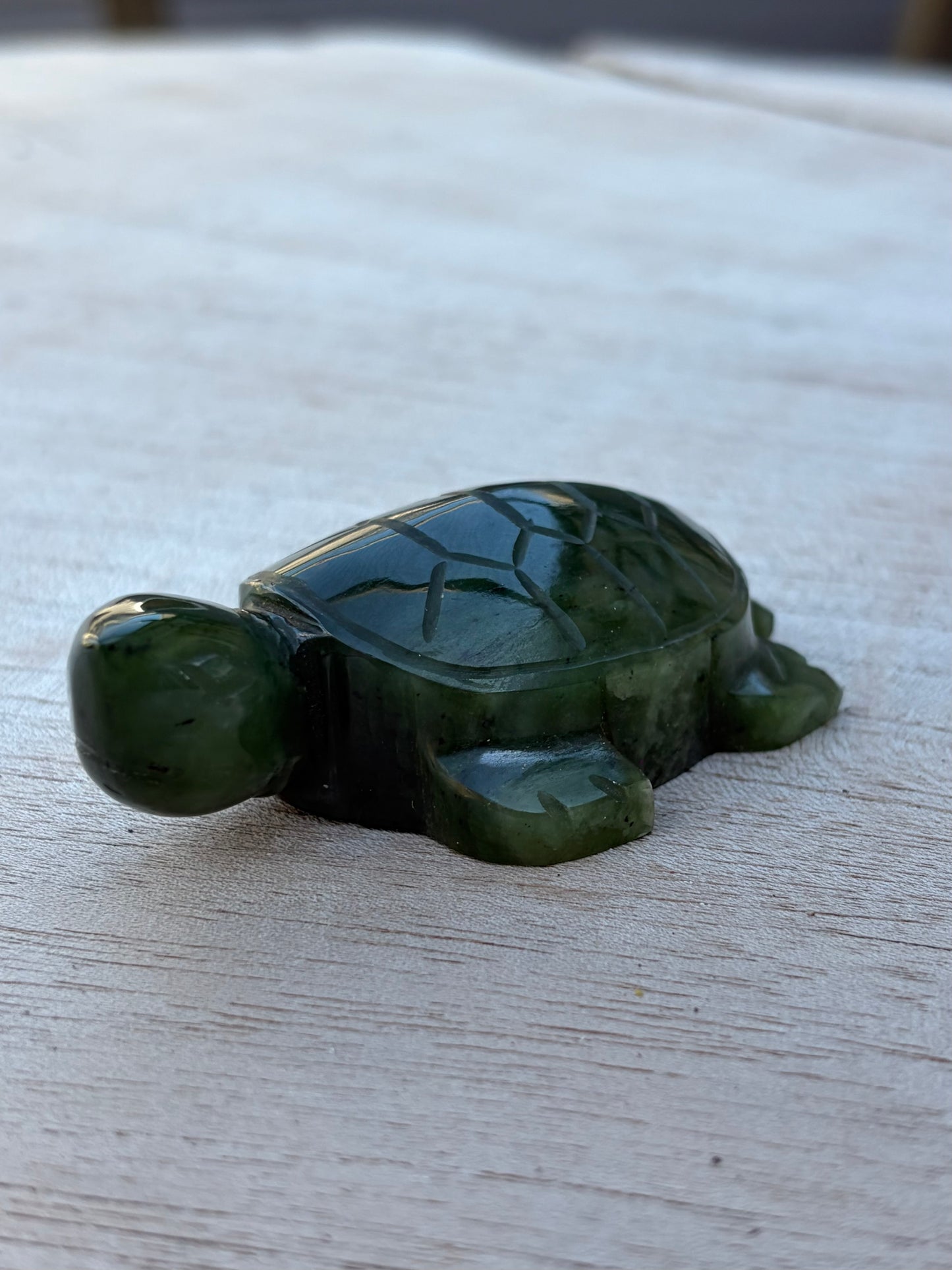 Tortue Aventurine