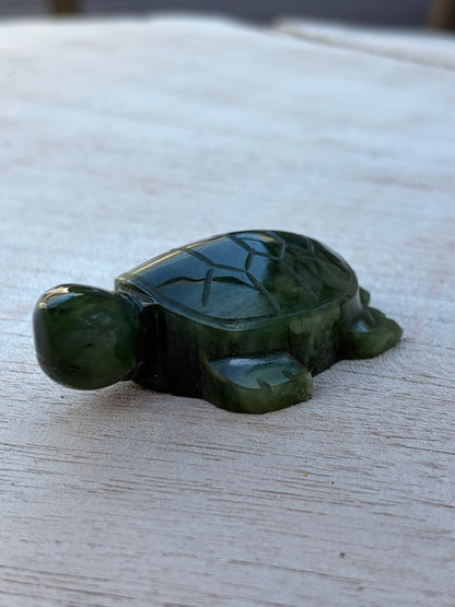 Tortue Aventurine