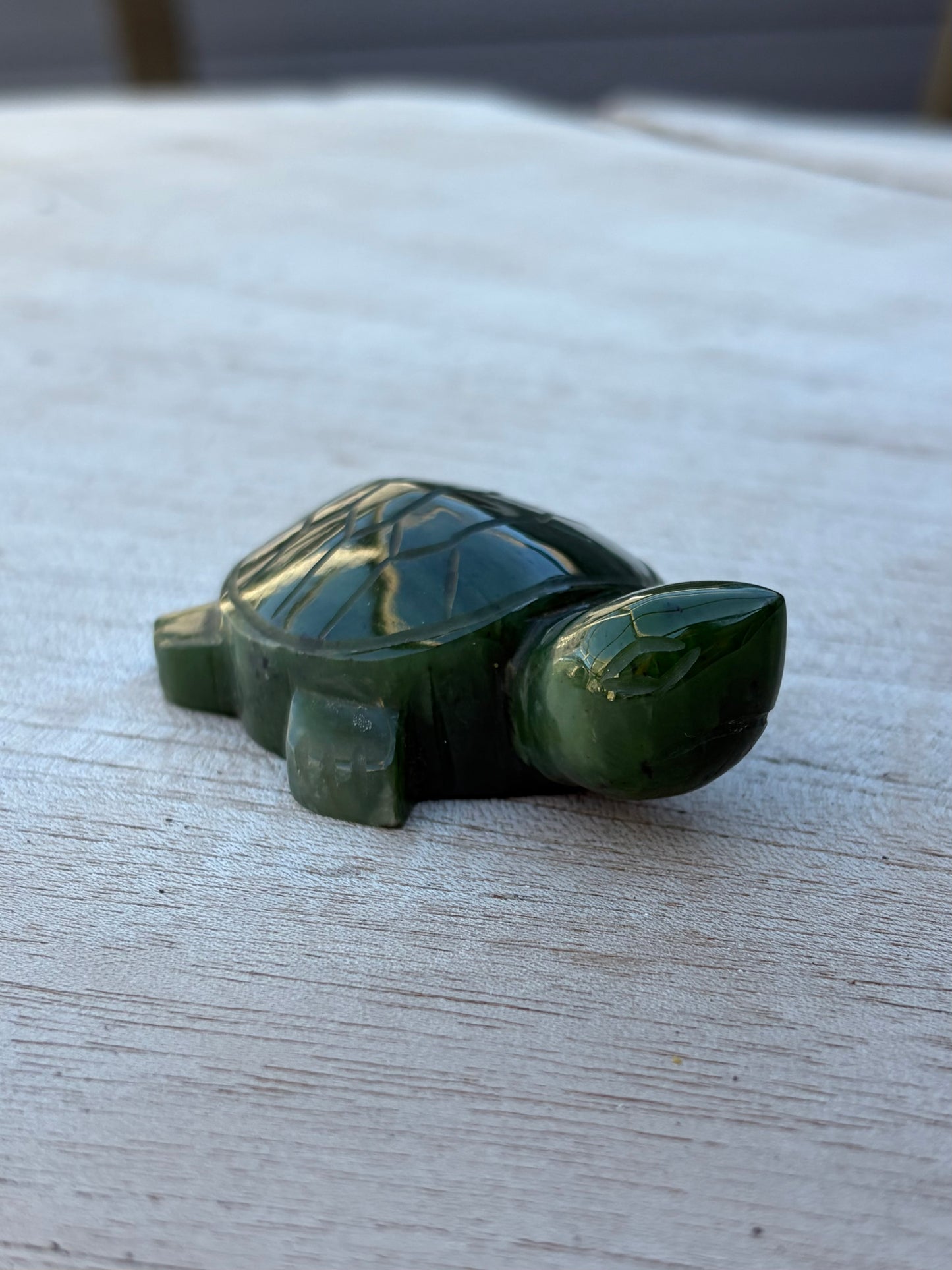 Tortue Aventurine
