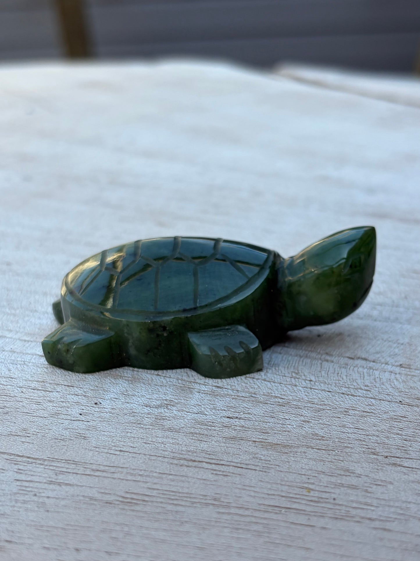 Tortue Aventurine
