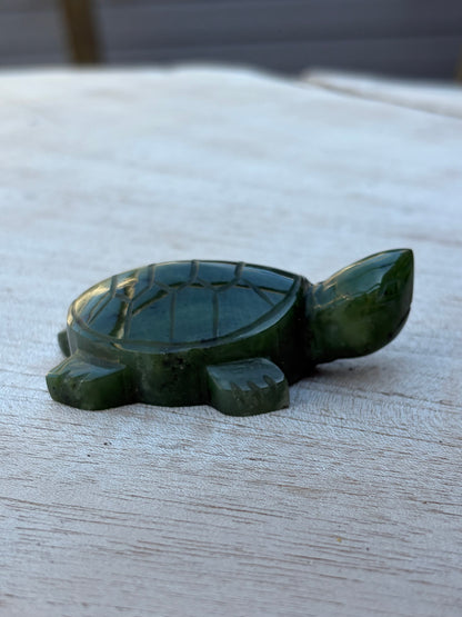 Tortue Aventurine