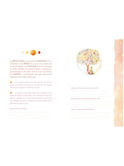 Carnet lune