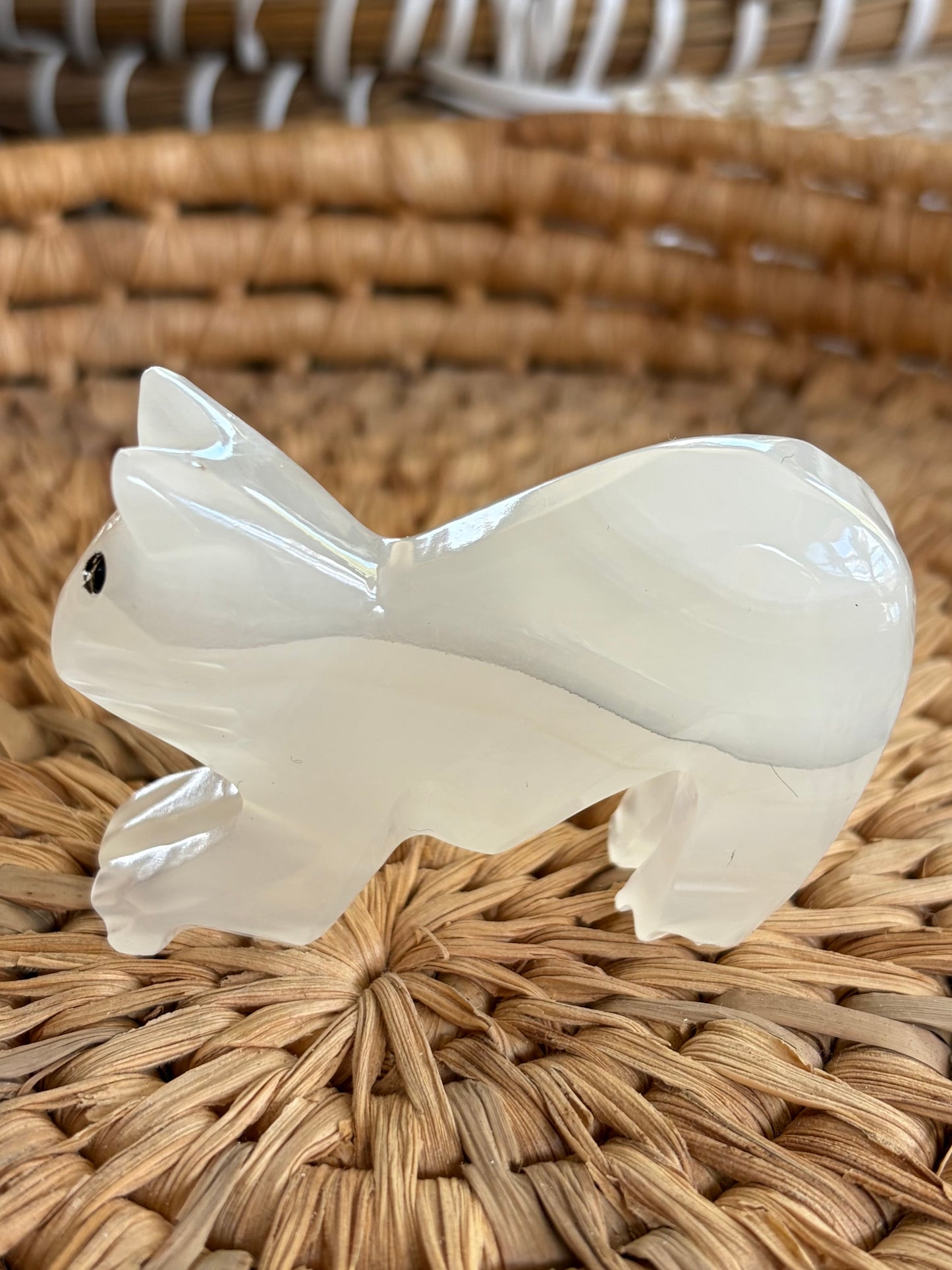 Gros chat en Agate blanche
