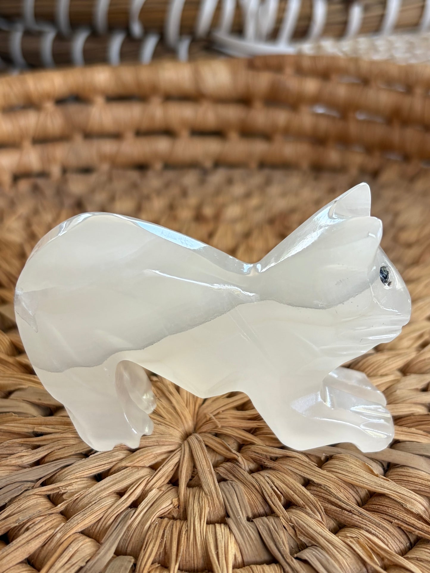 Gros chat en Agate blanche
