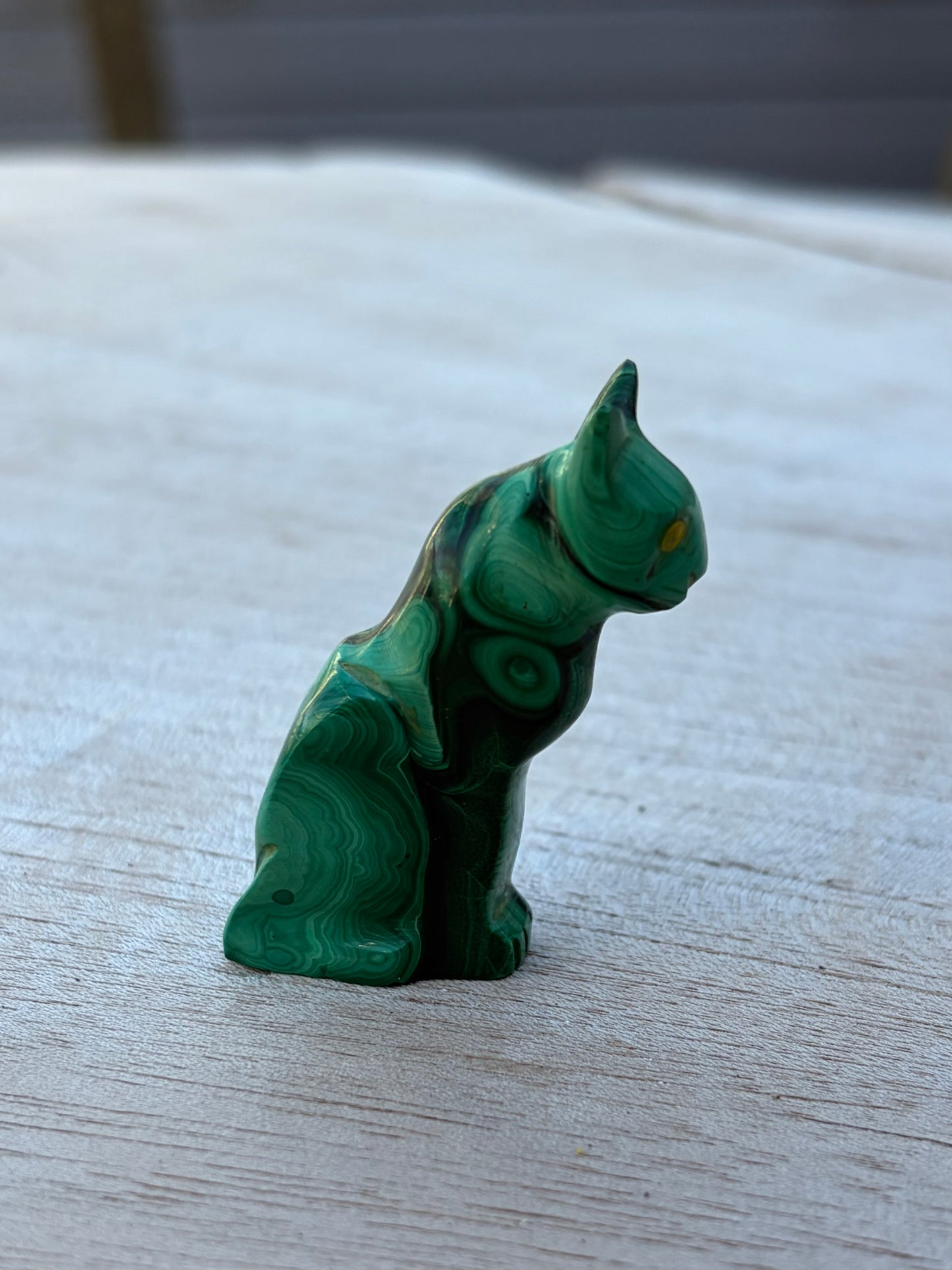 Chat Malachite