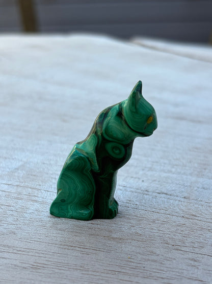 Chat Malachite