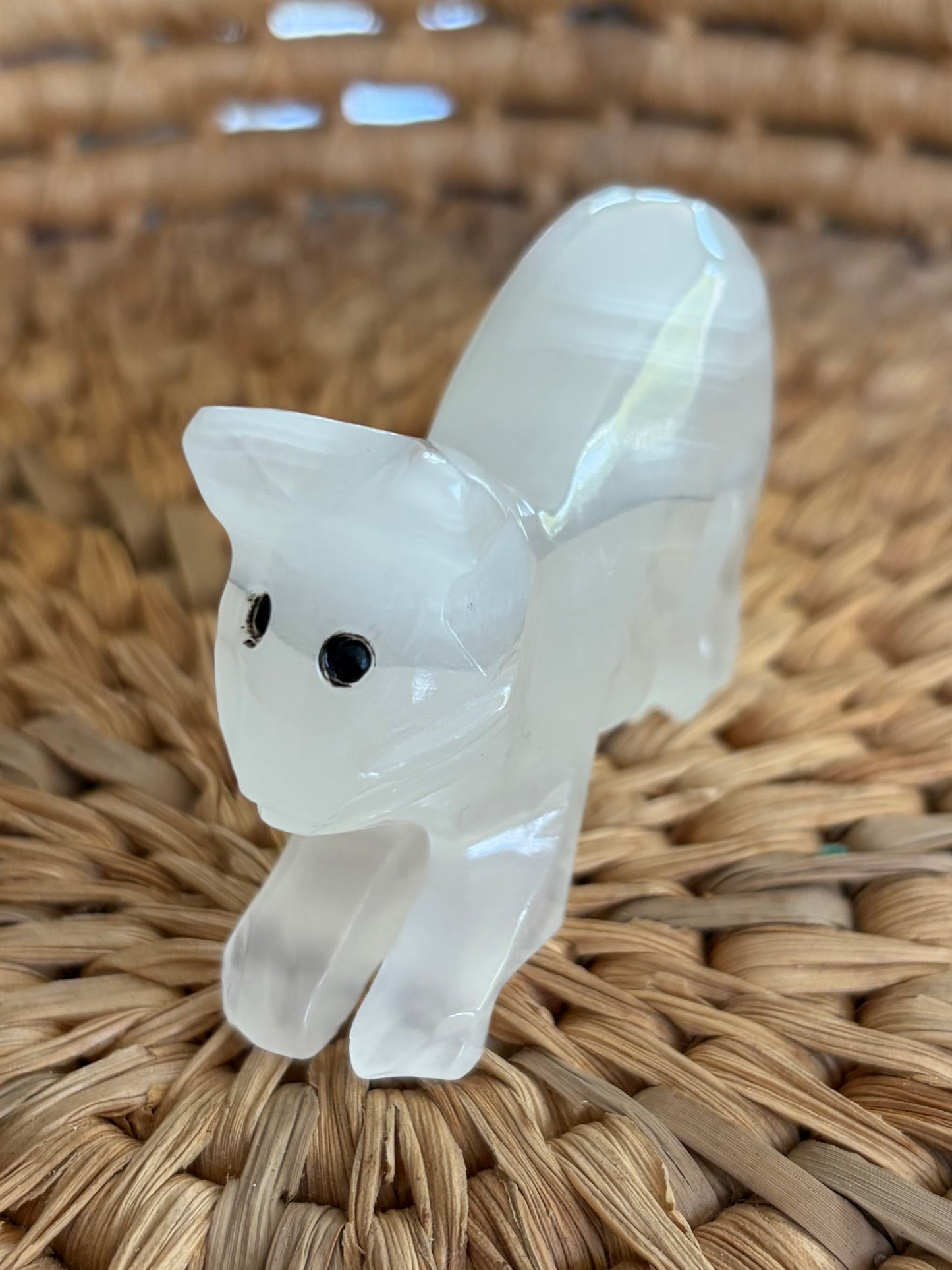 Gros chat en Agate blanche