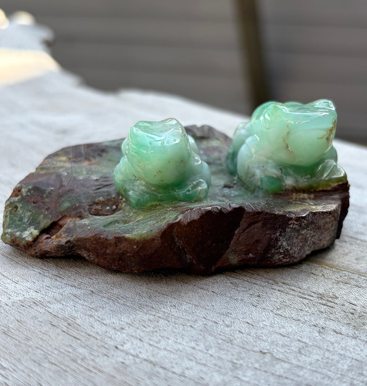 Grenouilles Chrysoprase