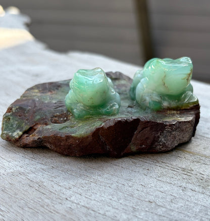 Grenouilles Chrysoprase